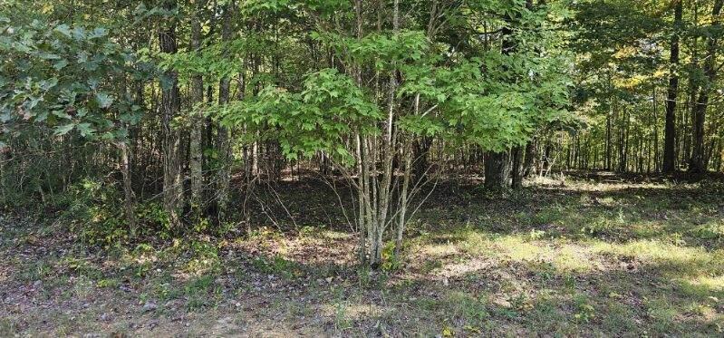 Lot 515 Wilderness Way Dunlap, TN 37327 - Photo 15 of 27 image000008