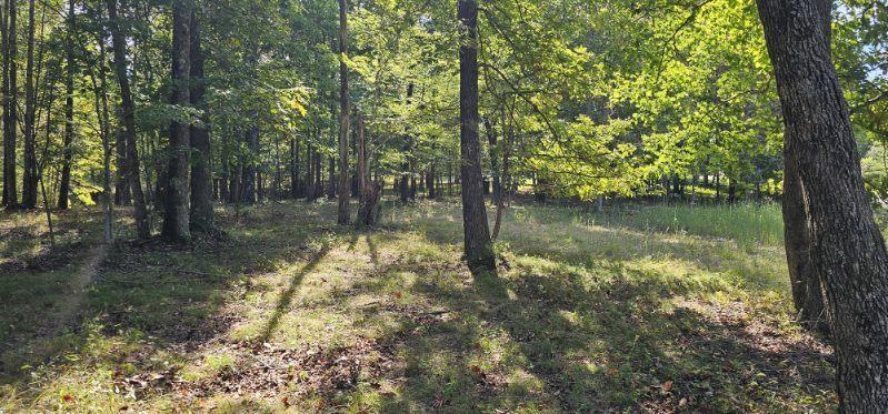 Lot 515 Wilderness Way Dunlap, TN 37327 - Photo 16 of 27 image000005