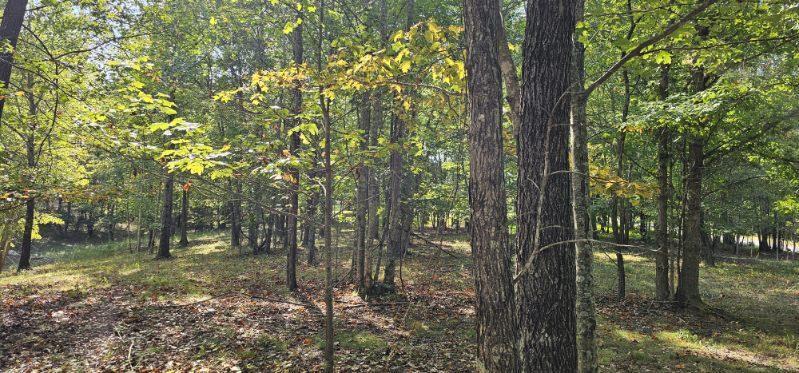 Lot 515 Wilderness Way Dunlap, TN 37327 - Photo 17 of 27 image000004