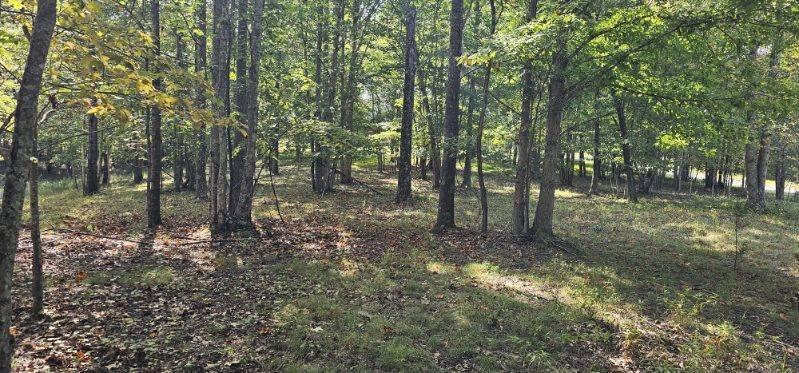 Lot 515 Wilderness Way Dunlap, TN 37327 - Photo 18 of 27 image000003