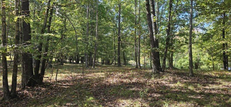 Lot 515 Wilderness Way Dunlap, TN 37327 - Photo 19 of 27 image000000