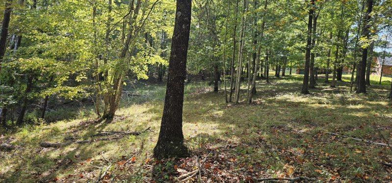 Lot 515 Wilderness Way Dunlap, TN 37327 - Photo 21 of 27 image000002
