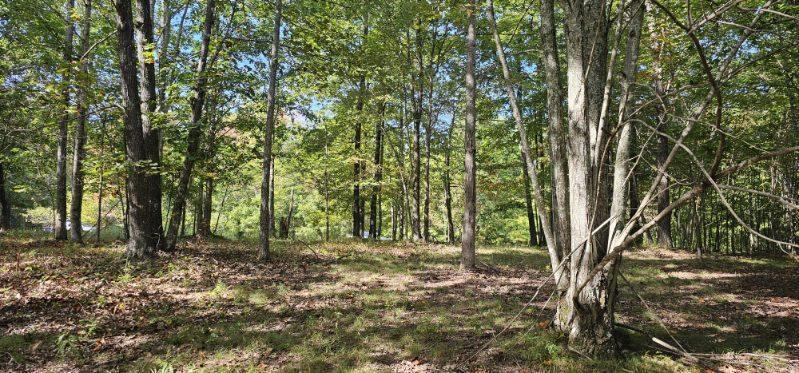 Lot 515 Wilderness Way Dunlap, TN 37327 - Photo 25 of 27 image000009