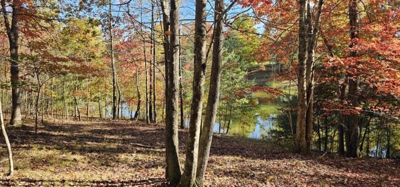 Lot 515 Wilderness Way Dunlap, TN 37327 - Photo 3 of 27 image000005