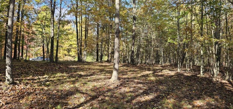 Lot 515 Wilderness Way Dunlap, TN 37327 - Photo 8 of 27 image000000