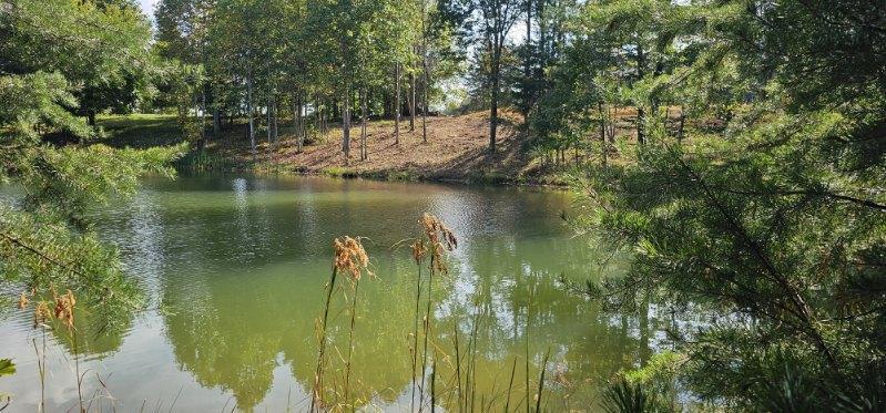 Lot 515 Wilderness Way Dunlap, TN 37327 - Photo 10 of 27 image000008
