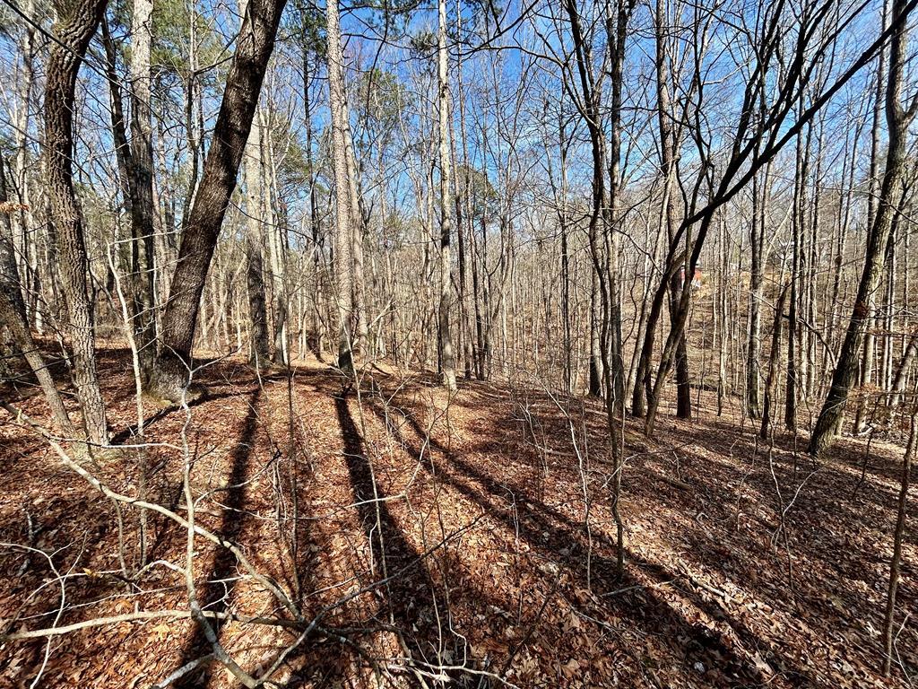 0 Berean Church Road Ellijay, GA 30540 - Photo 2 of 11 Gallery Image 2