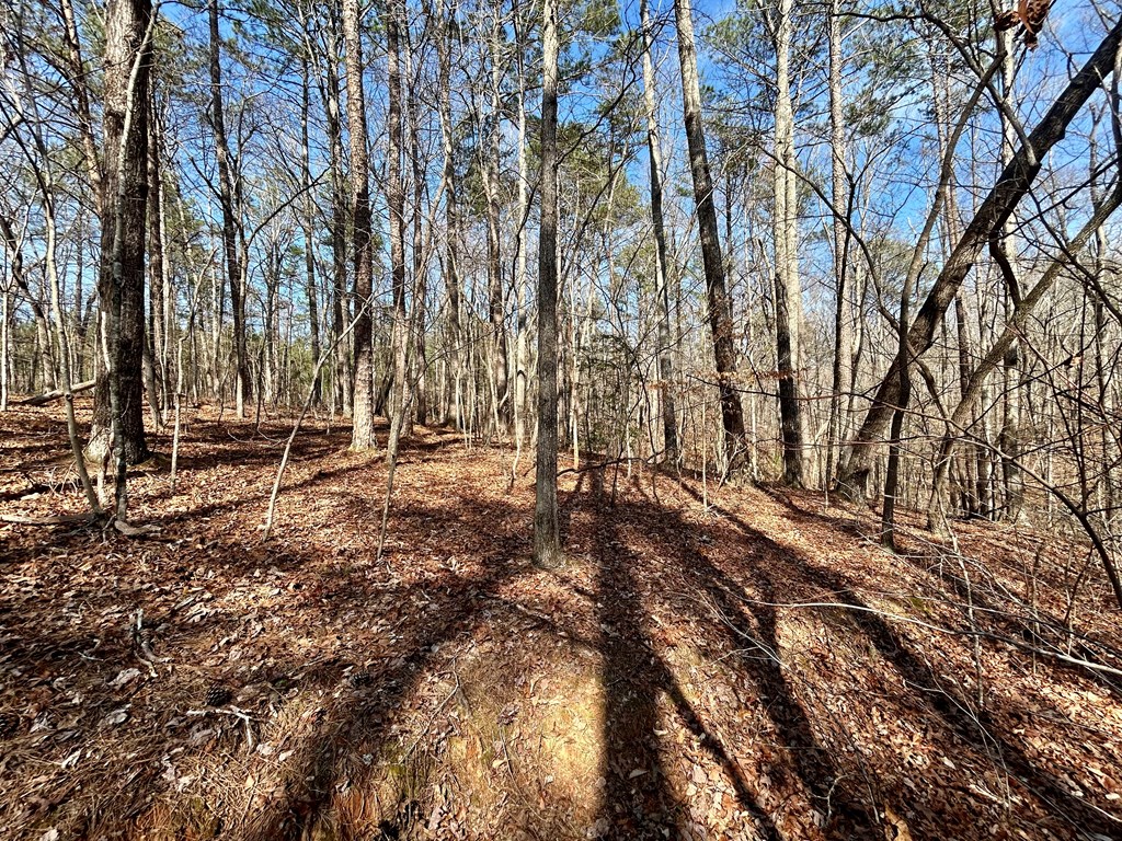 0 Berean Church Road Ellijay, GA 30540 - Photo 5 of 11 Gallery Image 5