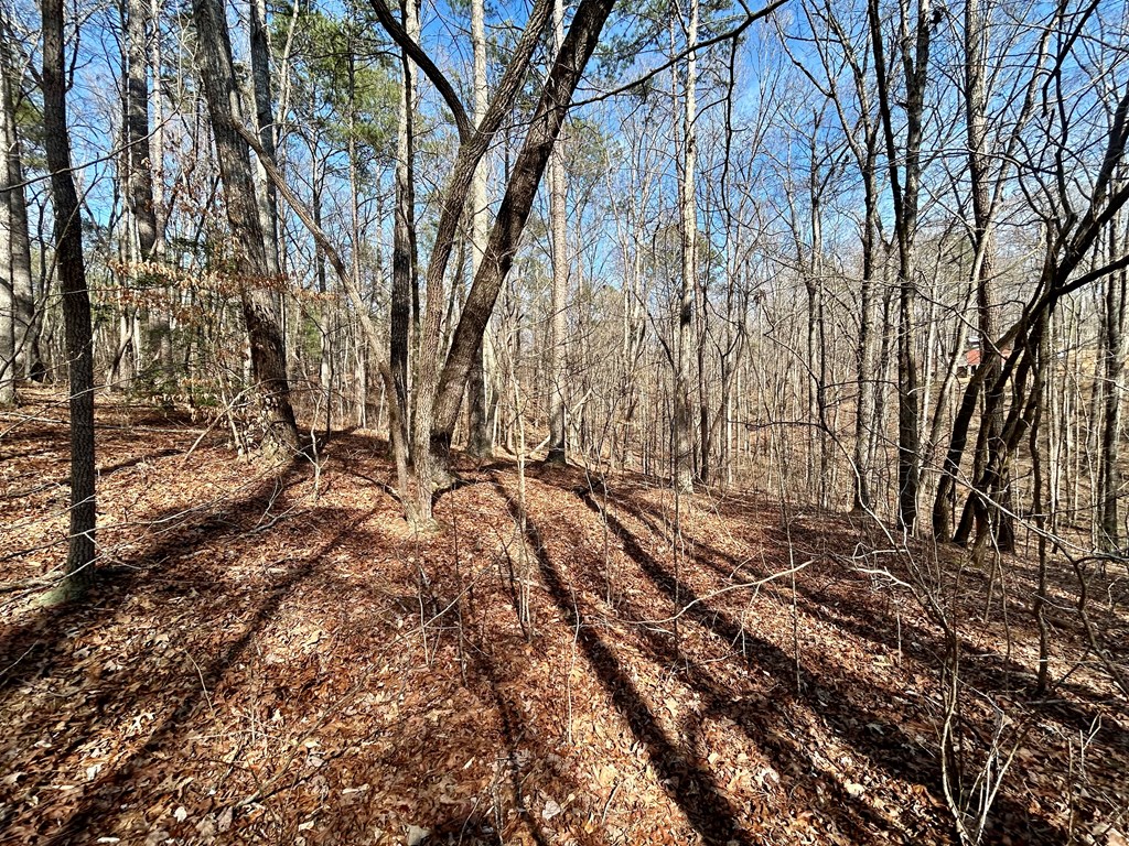 0 Berean Church Road Ellijay, GA 30540 - Photo 7 of 11 Gallery Image 7