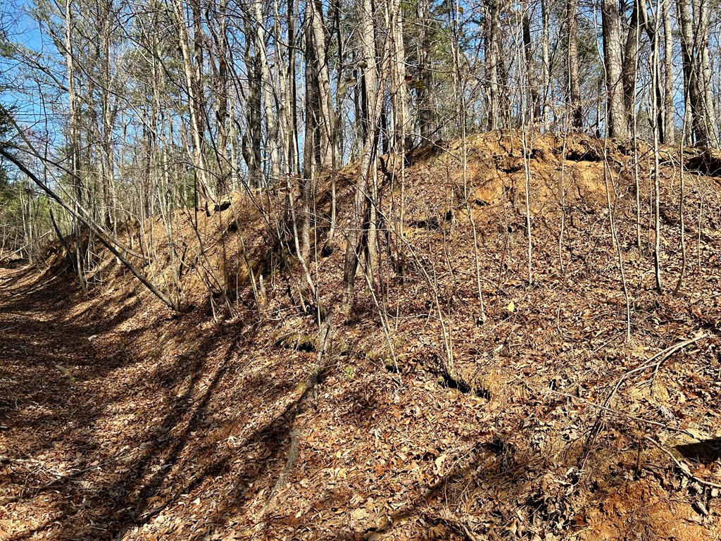 0 Berean Church Road Ellijay, GA 30540 - Photo 10 of 11 Gallery Image 10