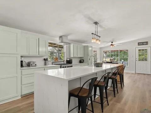 429 Private Road Big Sandy, TX 75755 - Photo 12 of 24 Kitchen featuring a kitchen breakfast bar, hanging light fixtures, a large island, and light wood-style floors