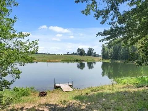 429 Private Road Big Sandy, TX 75755 - Photo 6 of 24 Private Dock area with a water view