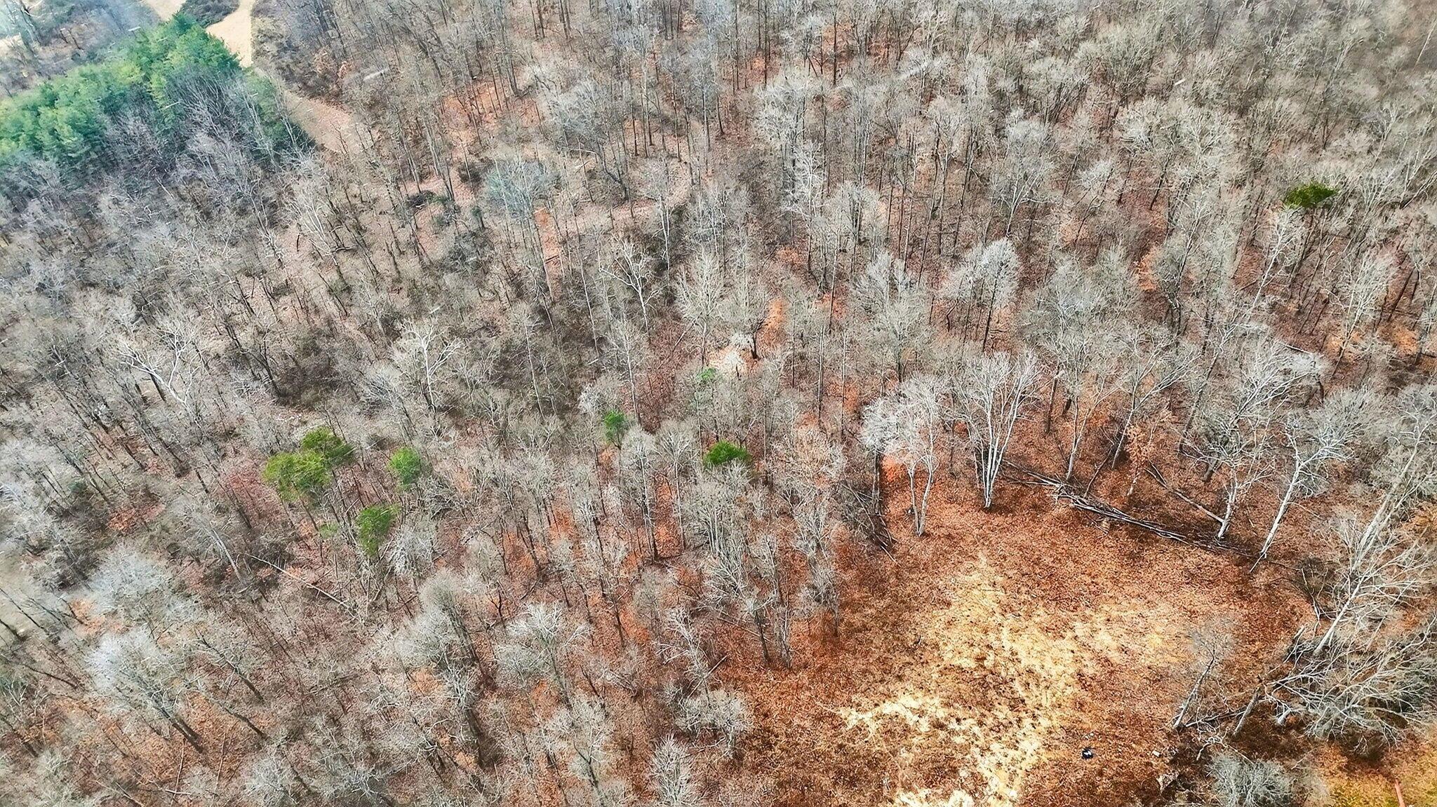 3133 4 Mile Road Jackson, OH 45640 - Photo 22 of 40 3133 Four Mile Rd 10
