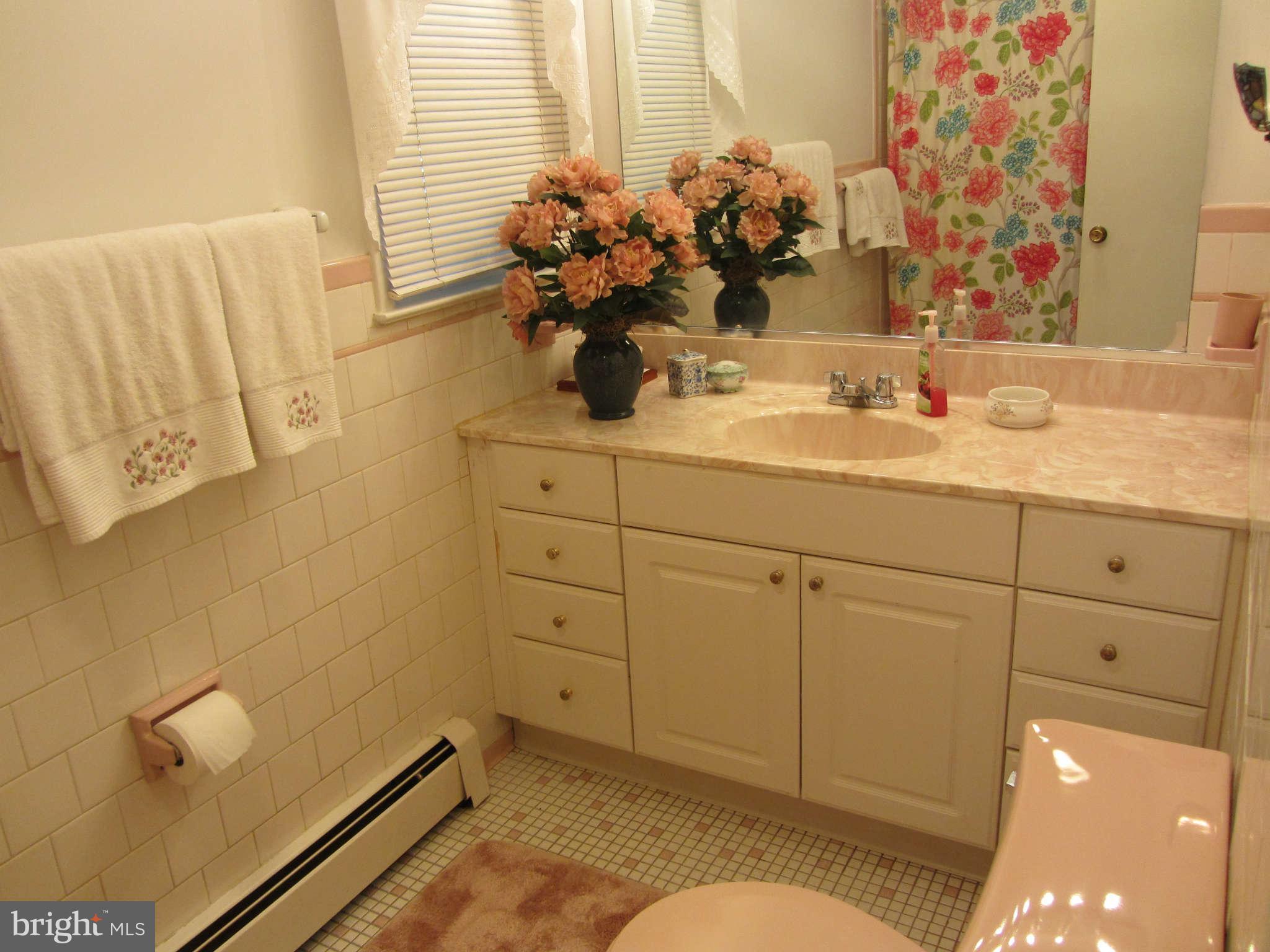 2217 Patapsco Road Finksburg, MD 21048 - Photo 22 of 30 Bath