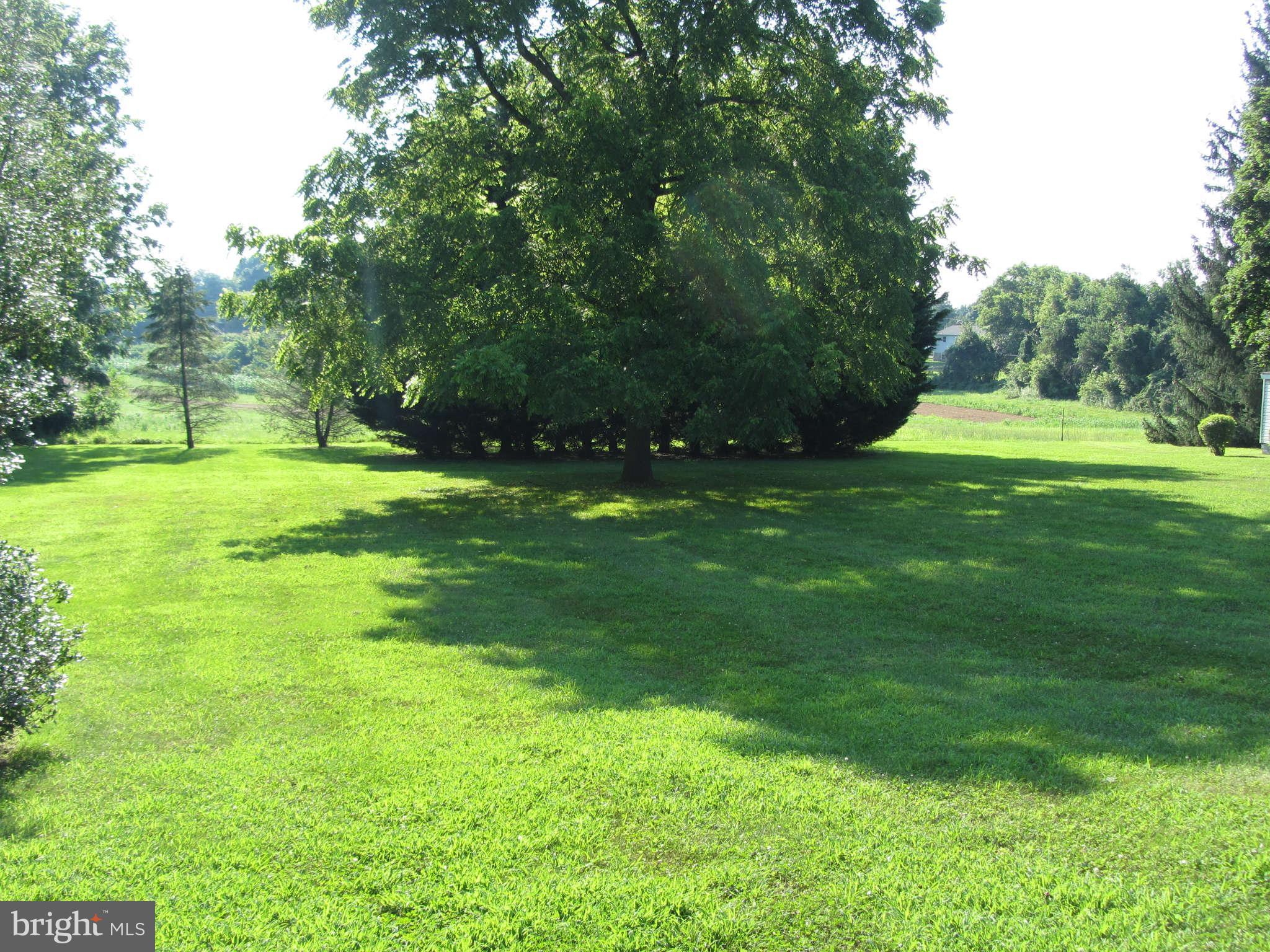 2217 Patapsco Road Finksburg, MD 21048 - Photo 8 of 30 Yard