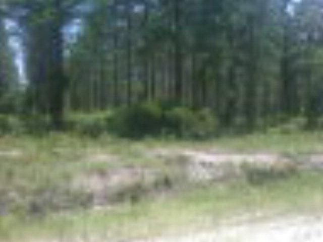 Lot 71 Vic Waters Road Townsend, GA 31331 - Photo 1 of 1