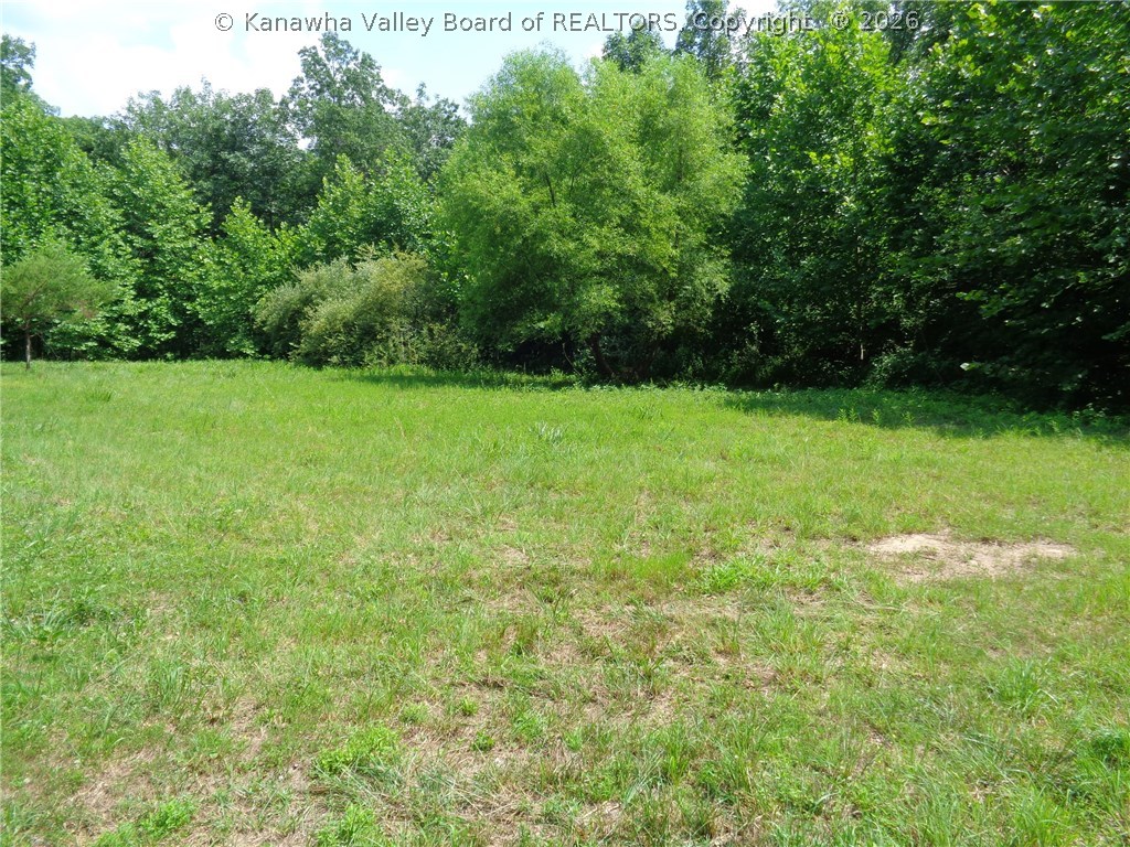 0 Beechie Fork Road Alum Creek, WV 25003 - Photo 5 of 15 Gallery Image 5