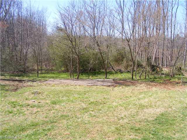1732 Pleasant Ridge Road Ramseur, NC 27316 - Photo 14 of 16 Land.