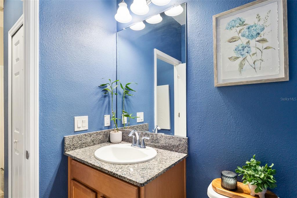 1571 Montgomery Bell Road Wesley Chapel, FL 33543 - Photo 12 of 62