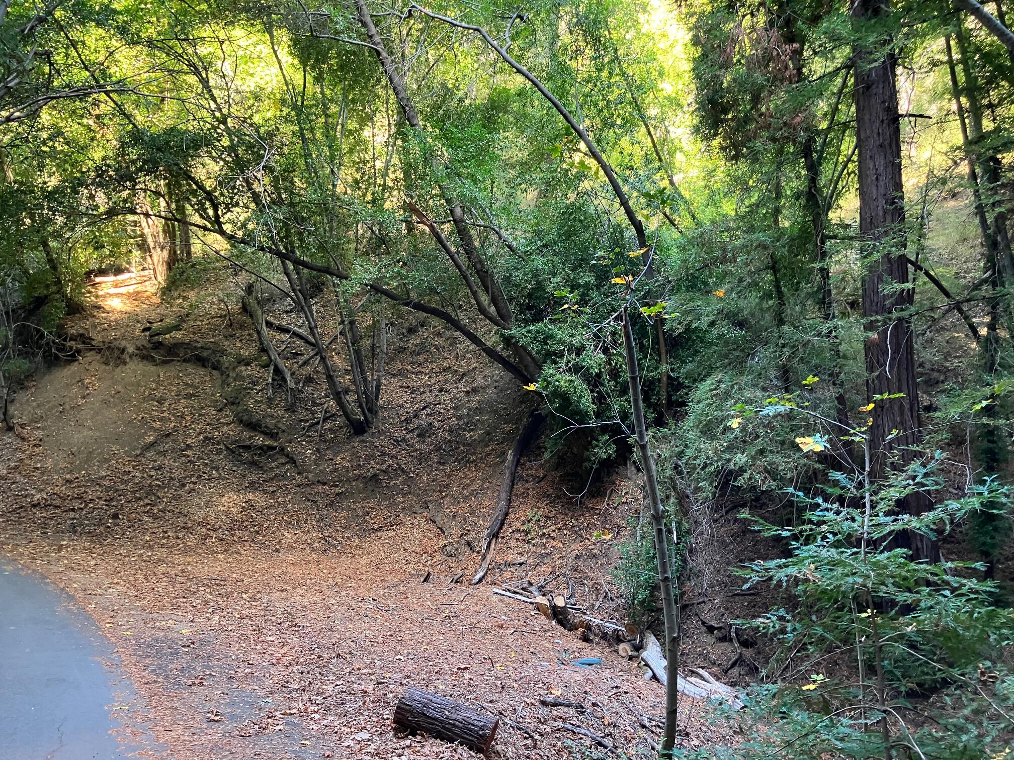 0 Old Logging Road Los Gatos, CA 95033 - Photo 5 of 17 IMG_2721
