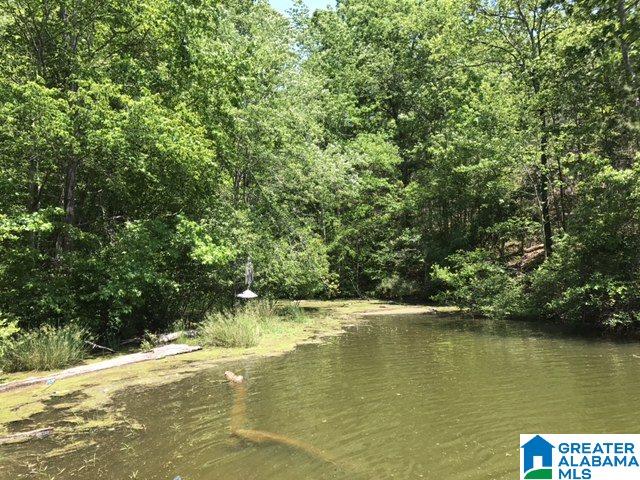 Wright Way Drive, Unit 3 Wedowee, AL 36278 - Photo 2 of 8