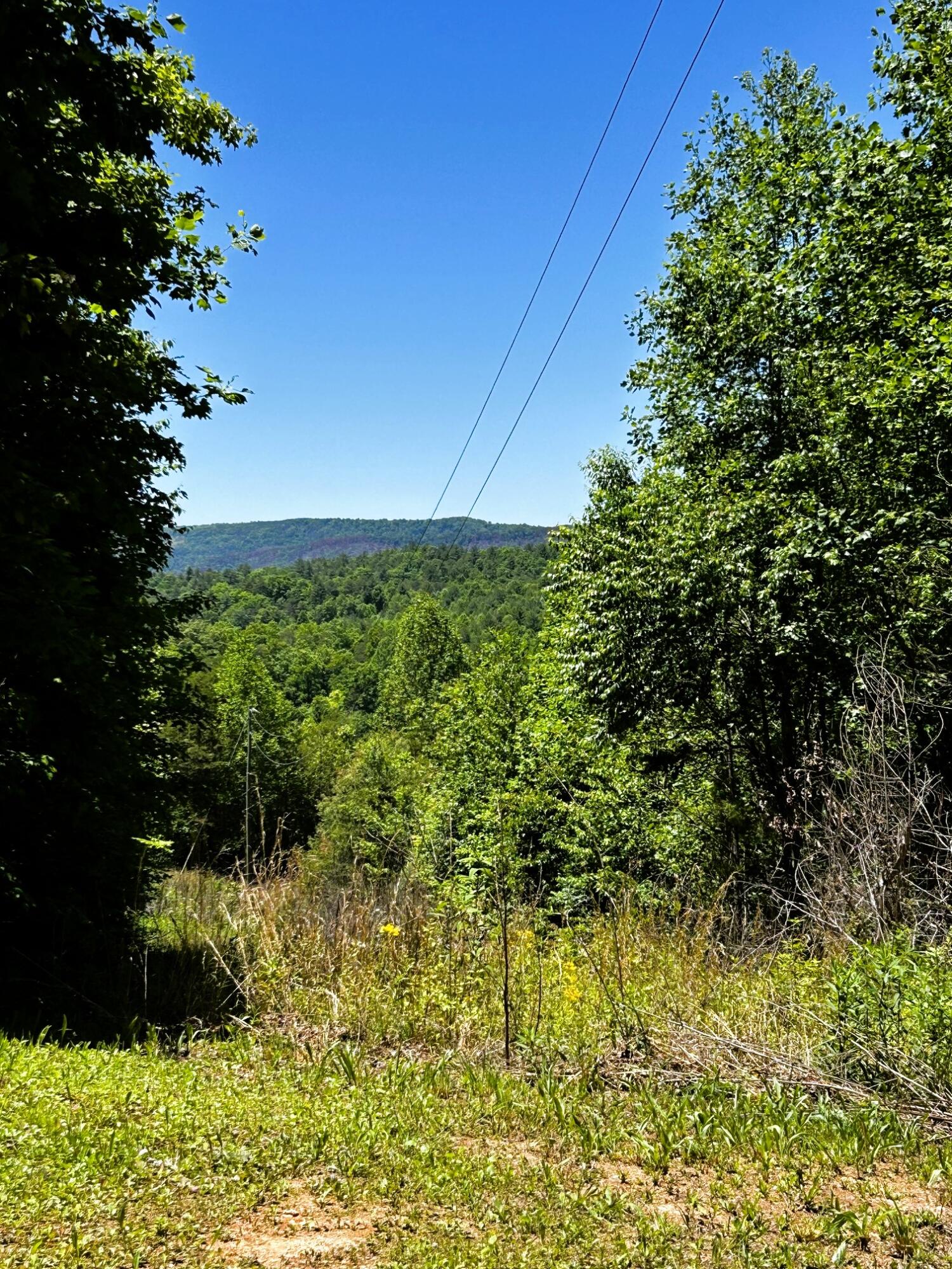 161 Willie Shell Road Reliance, TN 37369 - Photo 59 of 70 willie views1