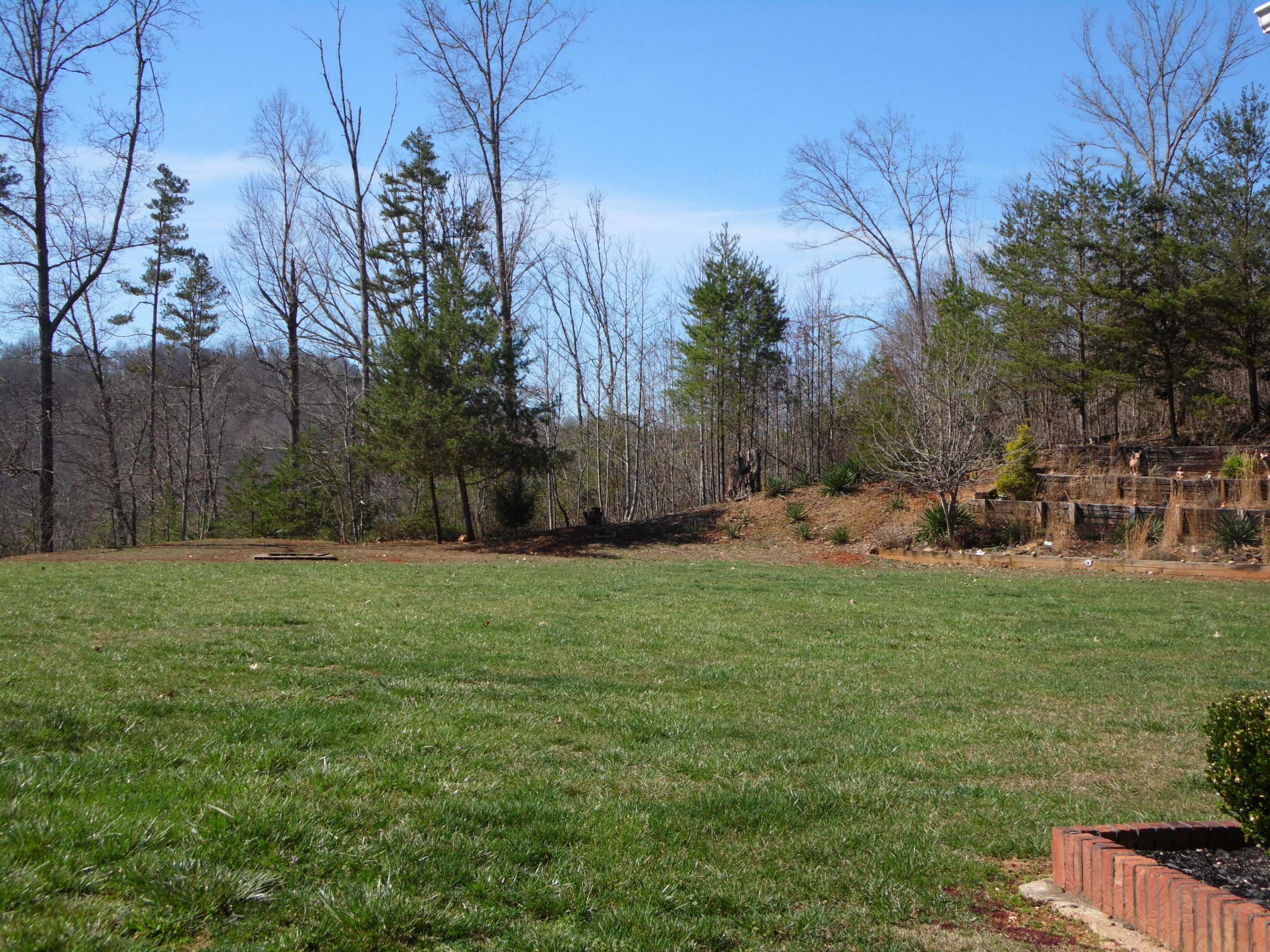 259 Mariner Point Road La Follette, TN 37766 - Photo 30 of 30 yard