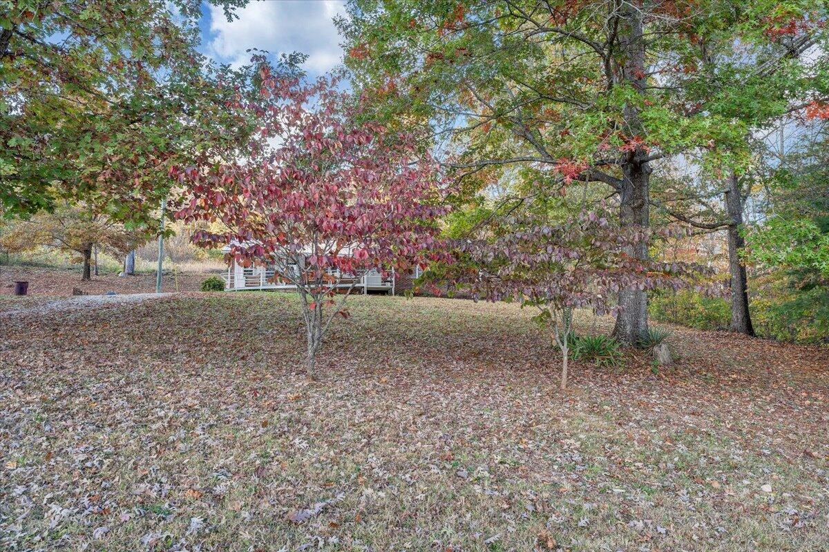 433 Deer Run Road Ferrum, VA 24088 - Photo 54 of 60 54-MIB09059