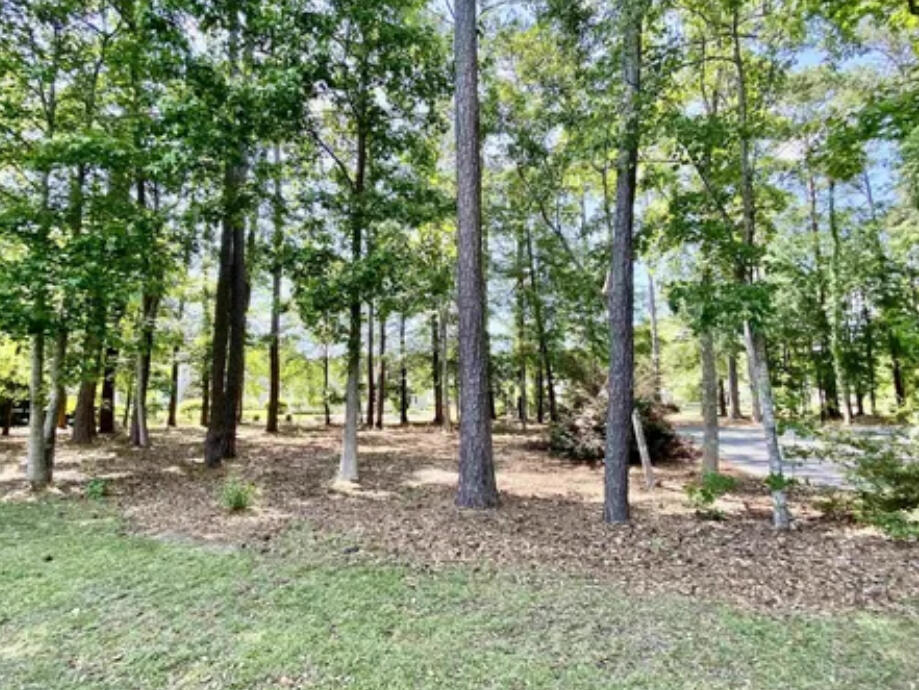 779 Helms Way Conway, SC 29526 - Photo 25 of 29 IMG_1348