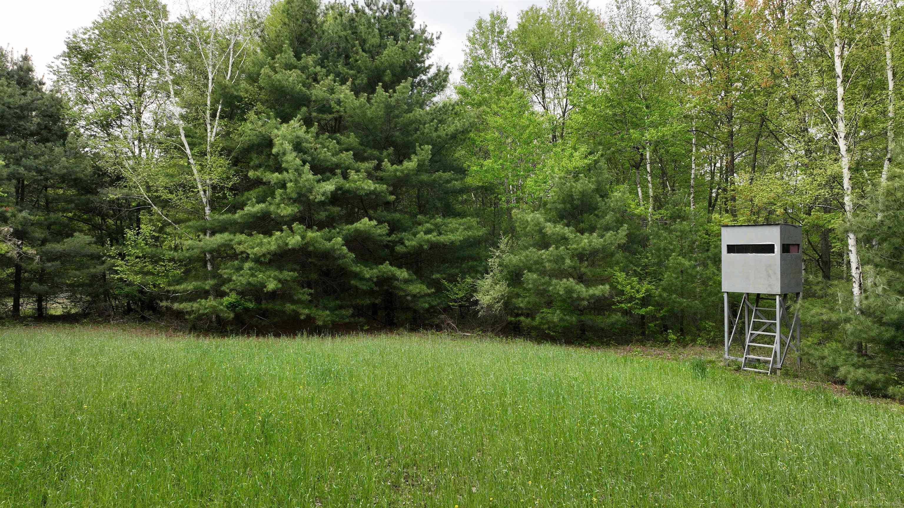 V/l Waltan Road Vassar, MI 48768 - Photo 5 of 21 Gallery Image 5