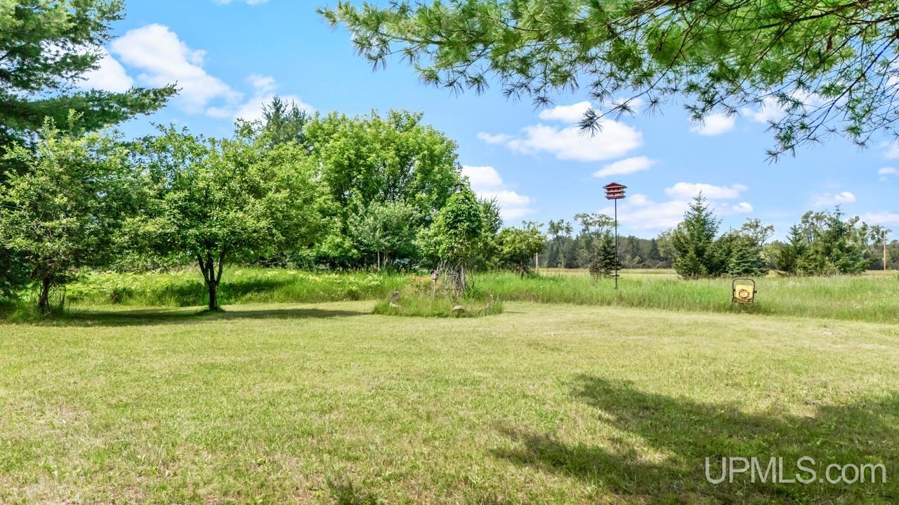 N10041 County Road 577 Daggett, MI 49821 - Photo 21 of 22