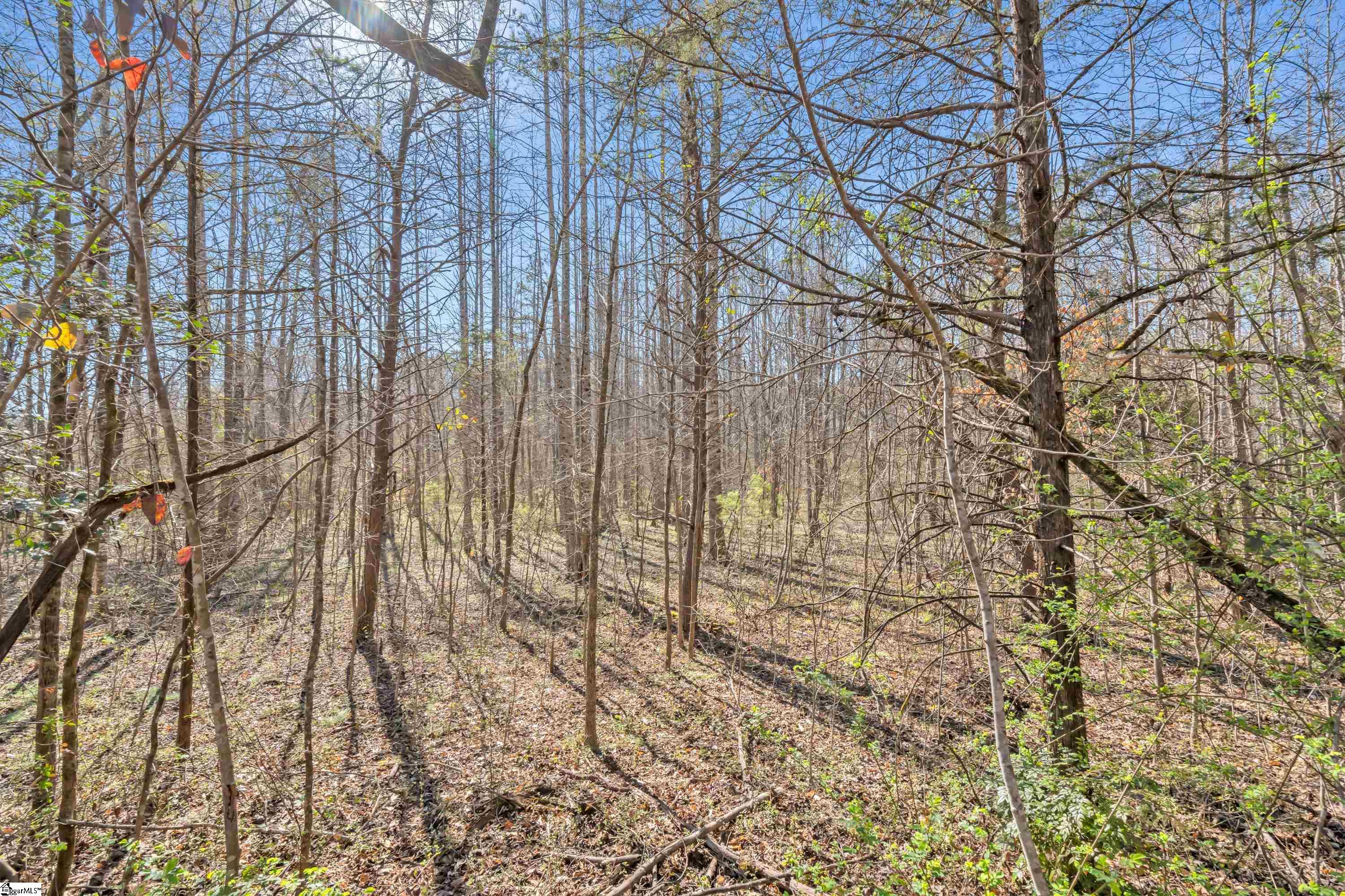 115 Mac Road Pickens, SC 29671 - Photo 24 of 35 Gallery Image 24