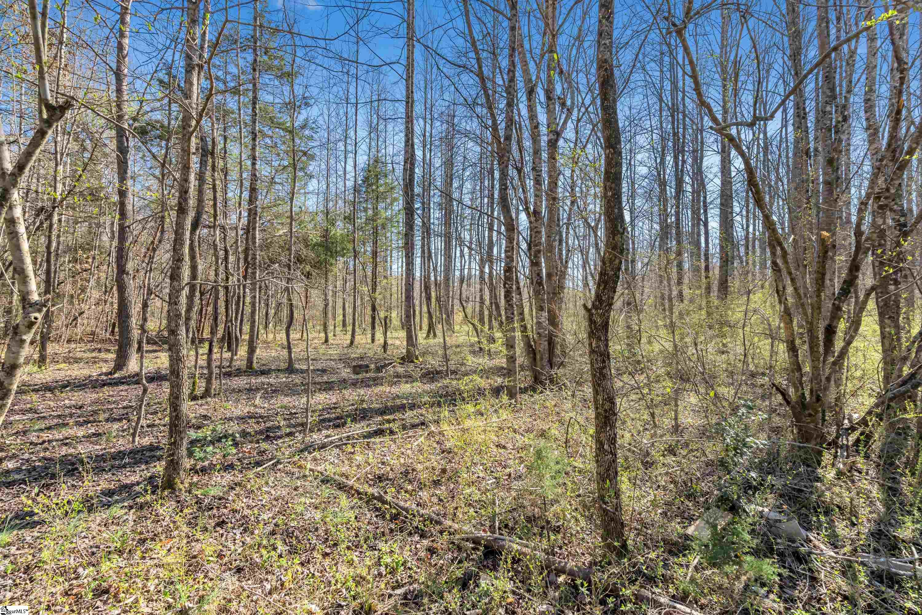 115 Mac Road Pickens, SC 29671 - Photo 27 of 35 Gallery Image 27