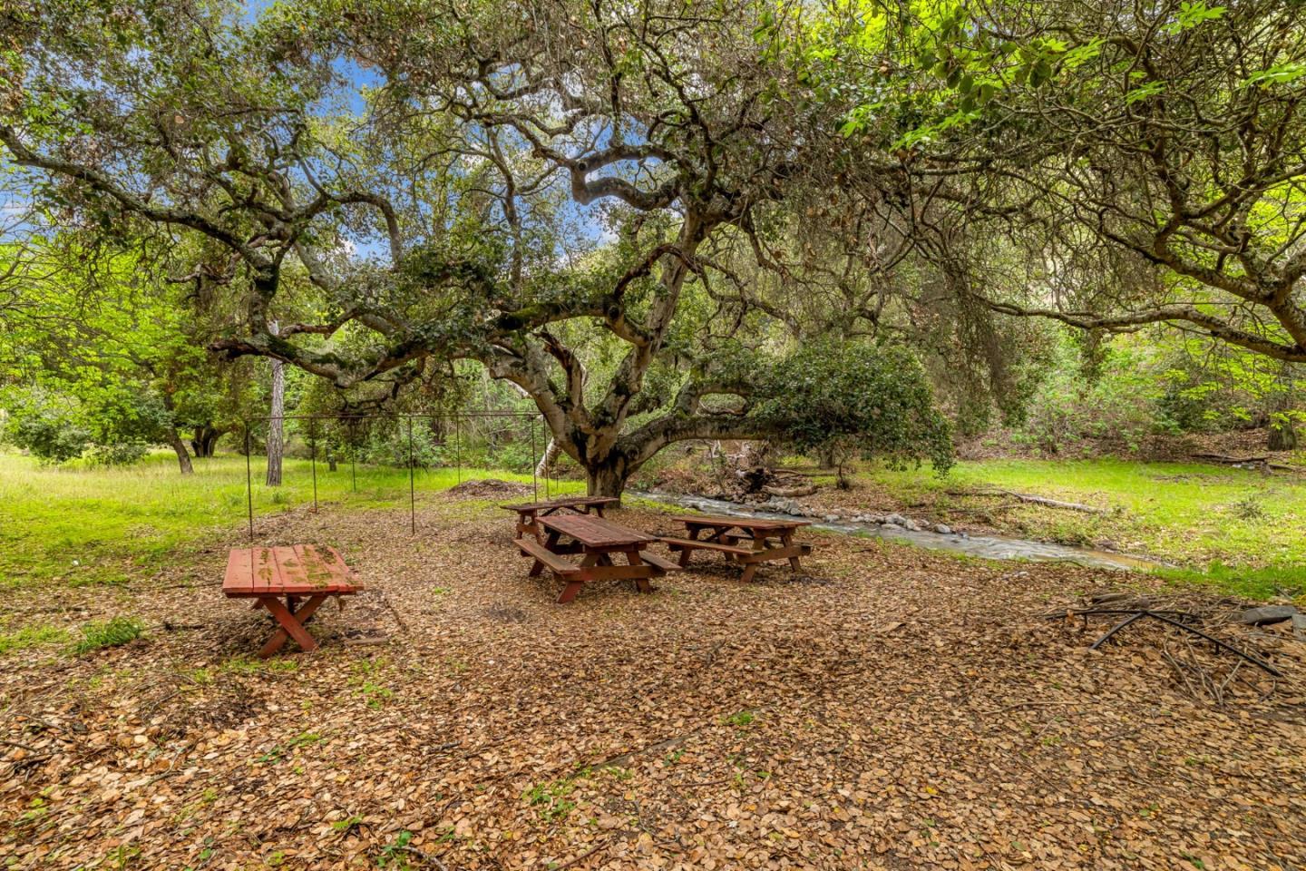 28750 Underwood Road Salinas, CA 93908 - Photo 16 of 71 a view of a park with large trees