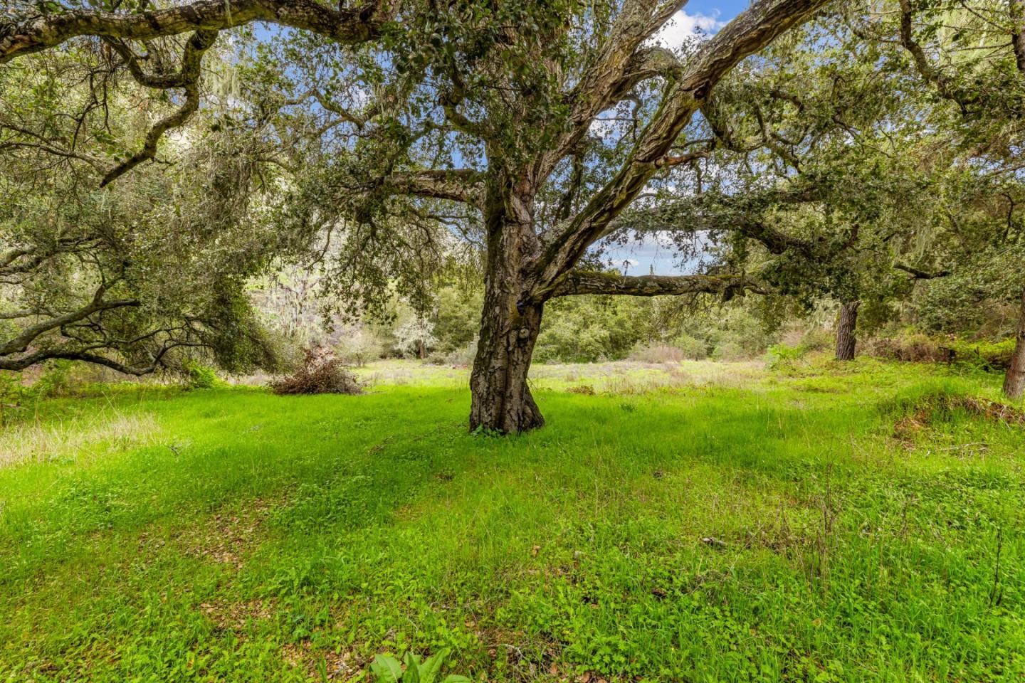 28750 Underwood Road Salinas, CA 93908 - Photo 21 of 71