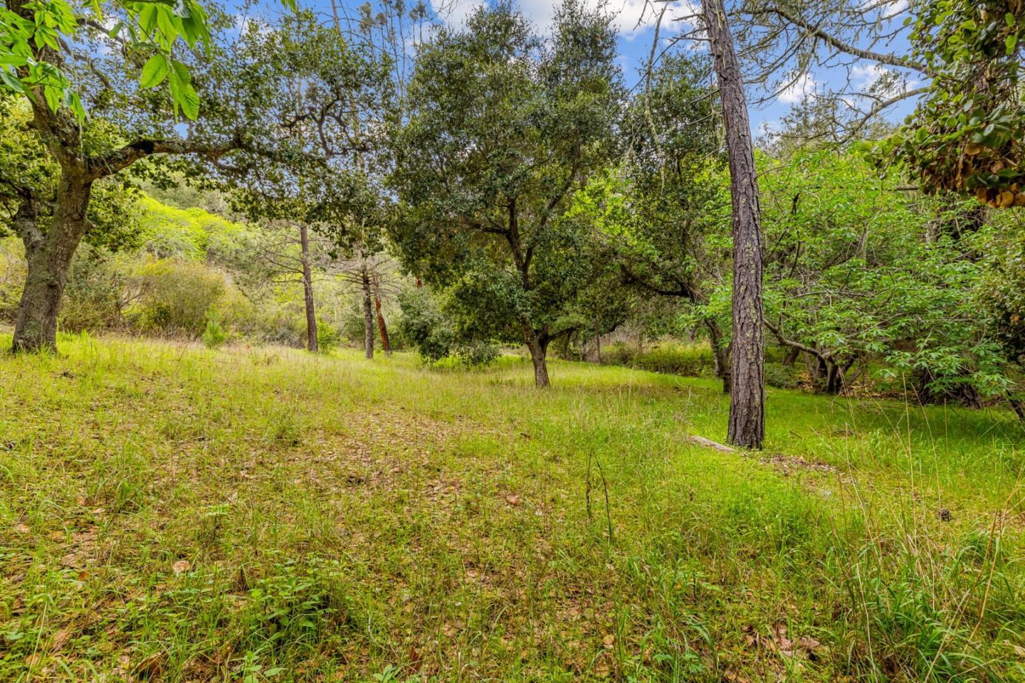 28750 Underwood Road Salinas, CA 93908 - Photo 23 of 71 a view of yard with green space and trees around