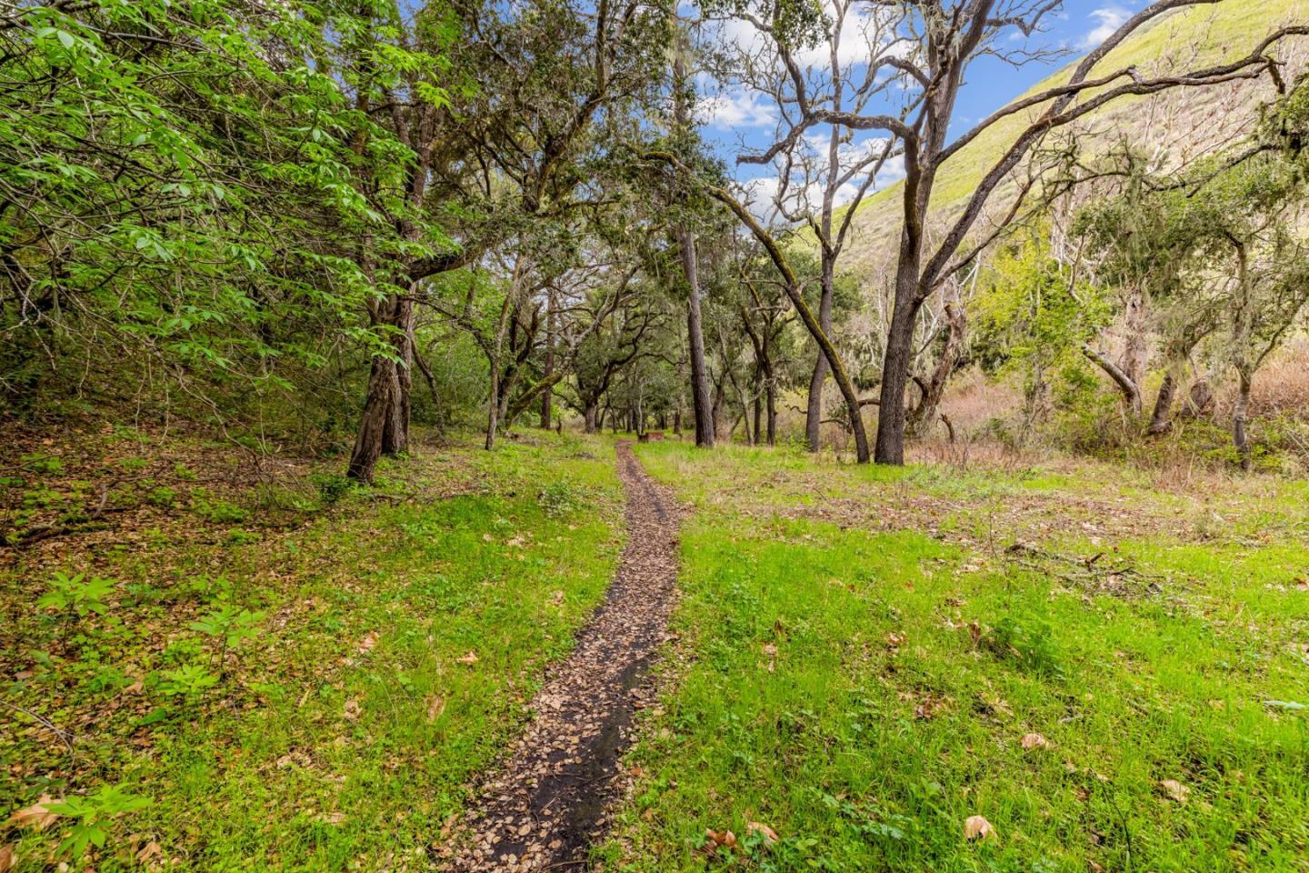 28750 Underwood Road Salinas, CA 93908 - Photo 29 of 71