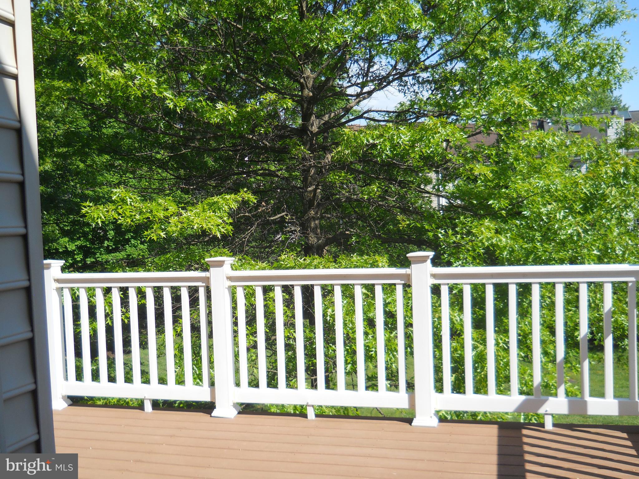 2807 Cornet Court Silver Spring, MD 20904 - Photo 26 of 44