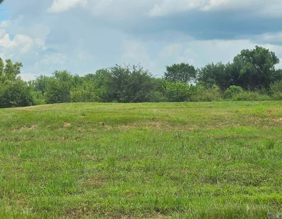 $50,000 | 143 Colvan Street, Raceland, LA 70394