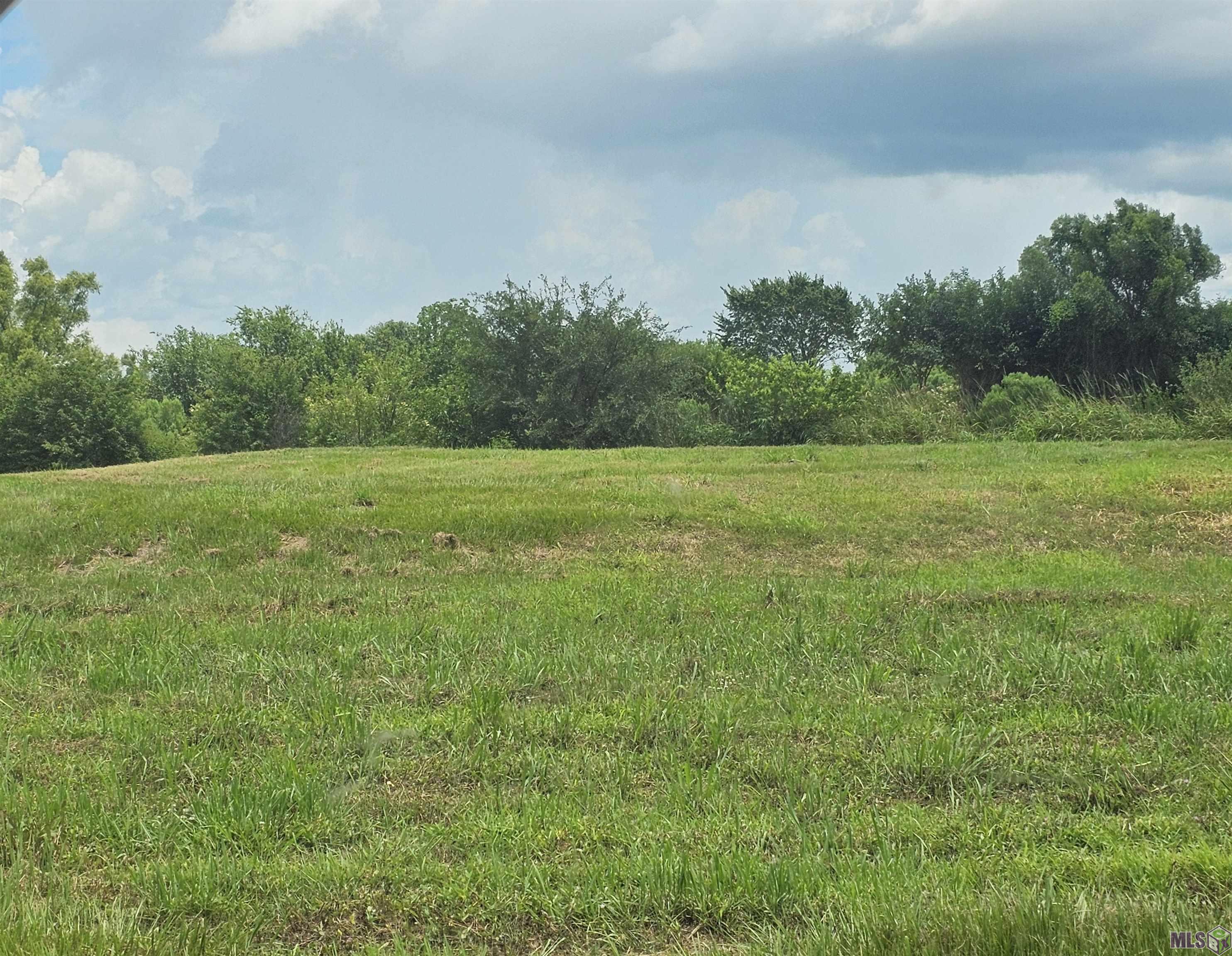 143 Colvan Street Raceland, LA 70394 - Photo 1 of 3