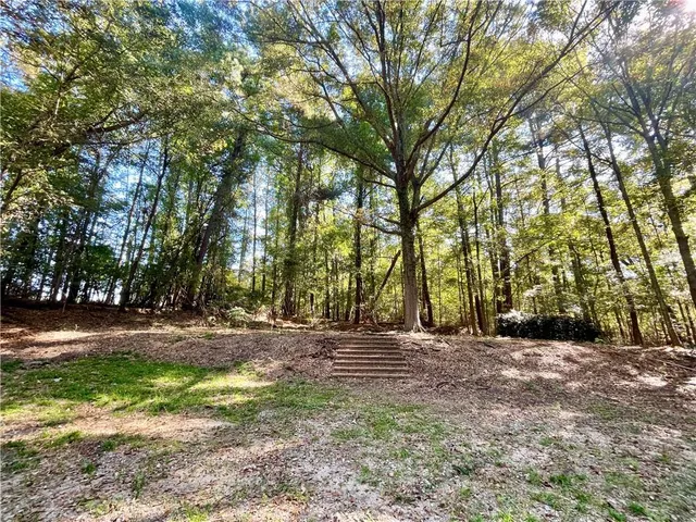a view of a yard with large trees