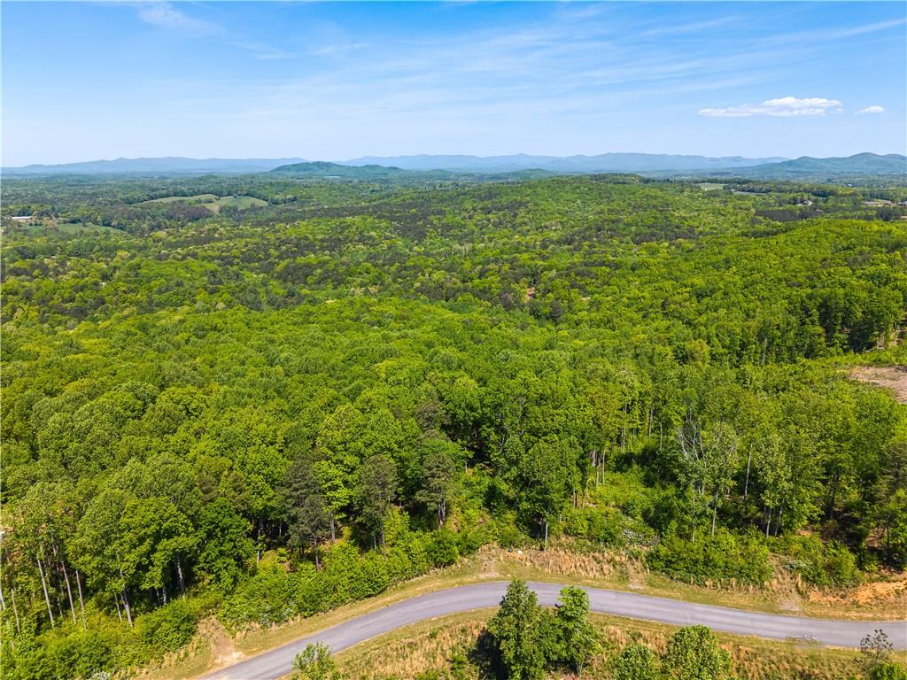 112 Twisted Oak Road Talking Rock, GA 30175 - Photo 5 of 14 a view of an ocean