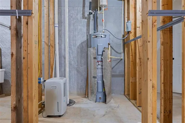 a view of a forest with a tree