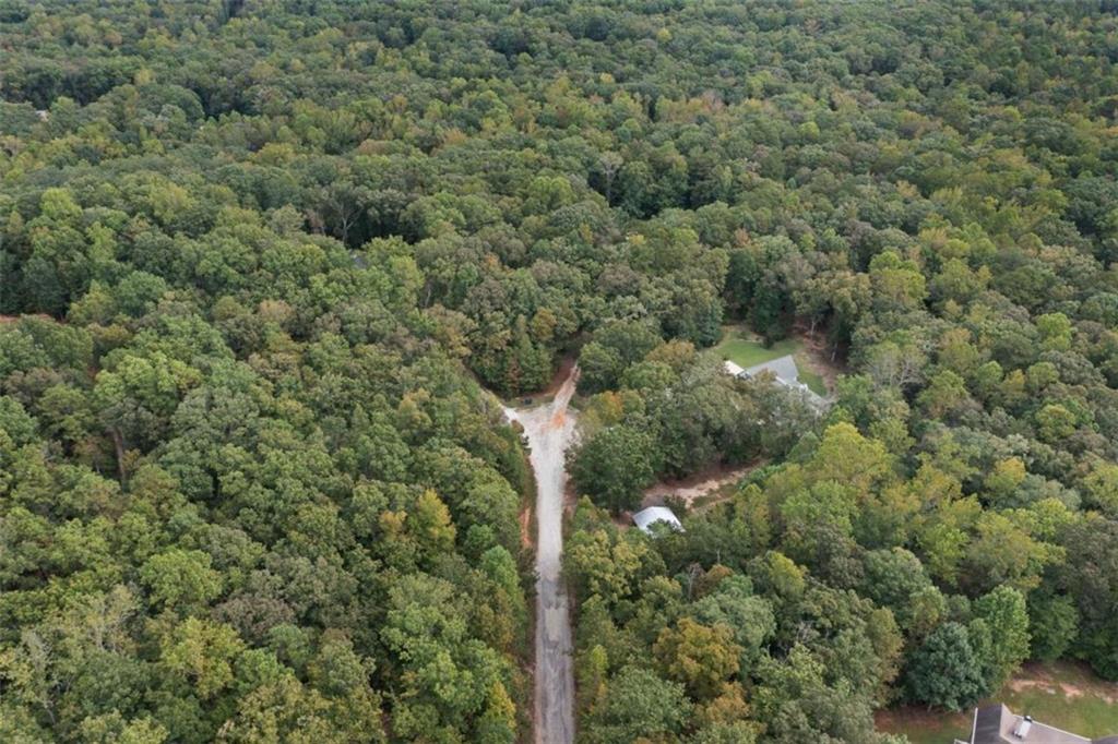 9375 Brian Boulevard Winston, GA 30187 - Photo 69 of 70 a view of a forest with a tree