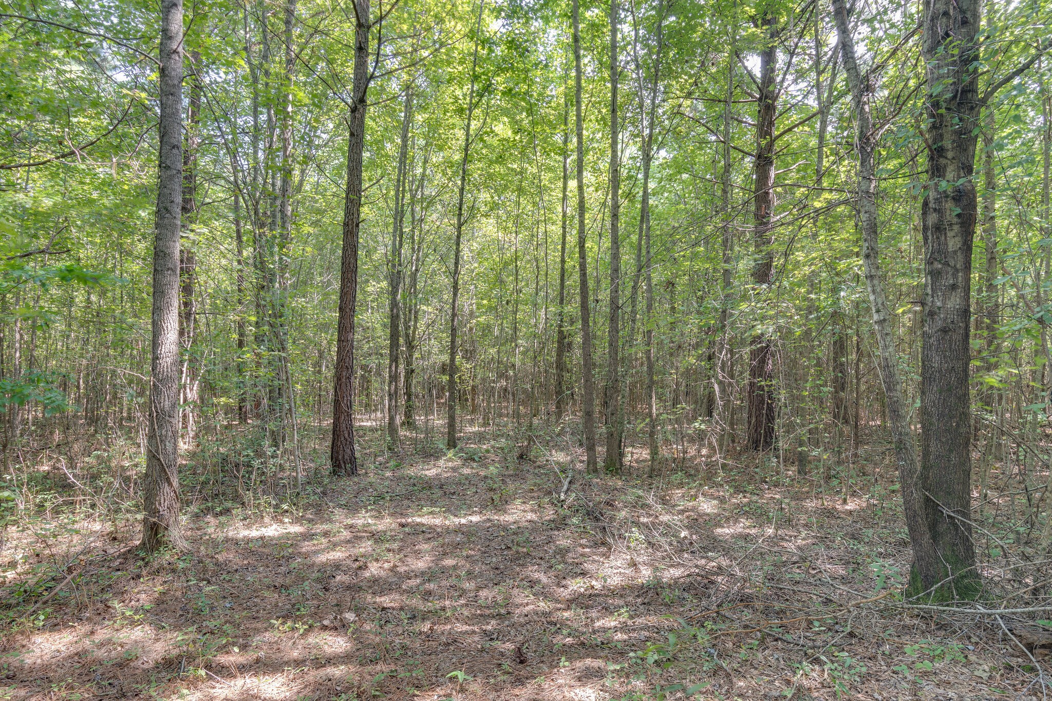 575 Swiss Colony Road Hohenwald, TN 38462 - Photo 32 of 49 Gallery Image 32