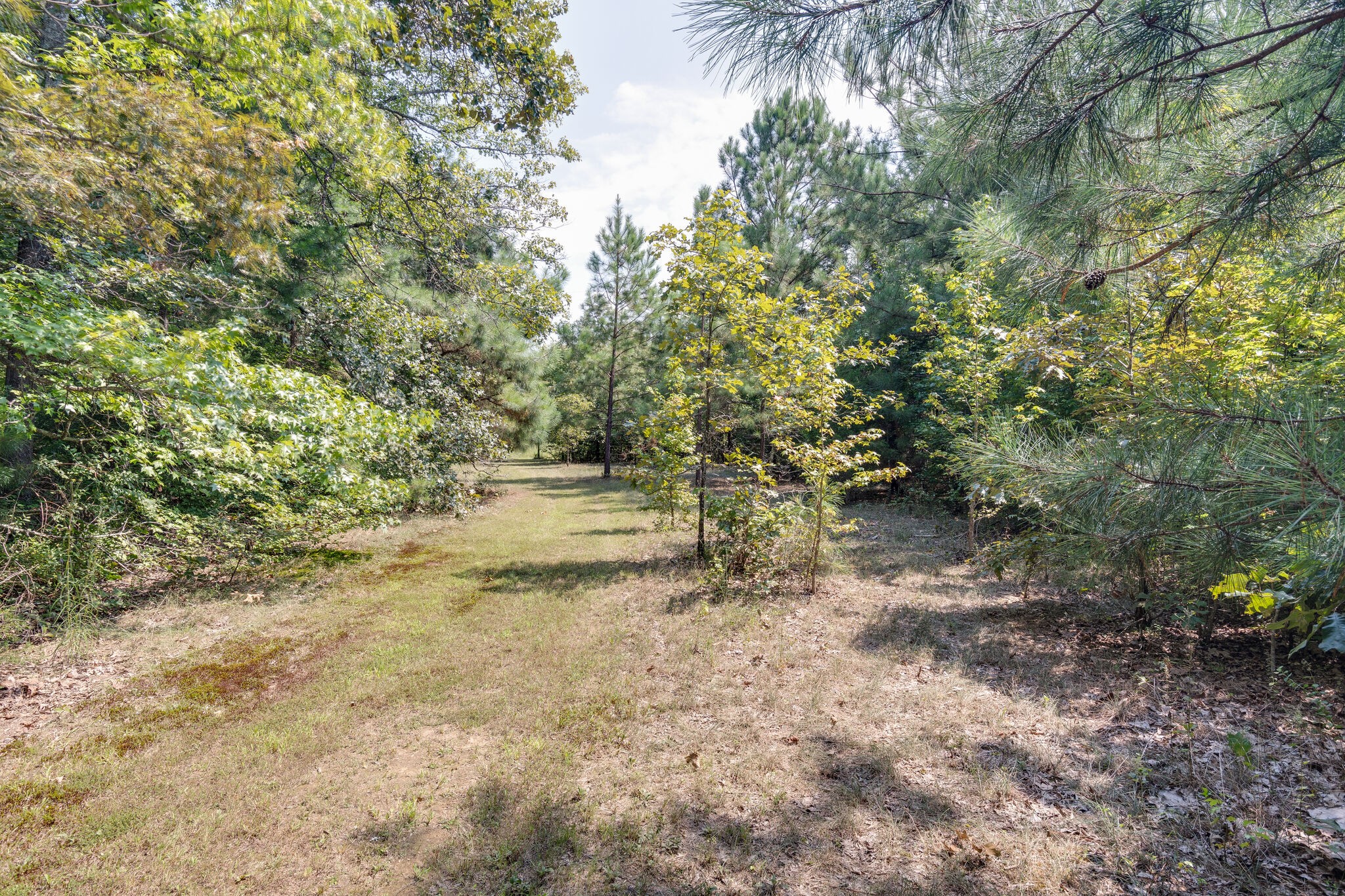 575 Swiss Colony Road Hohenwald, TN 38462 - Photo 33 of 49 Gallery Image 33