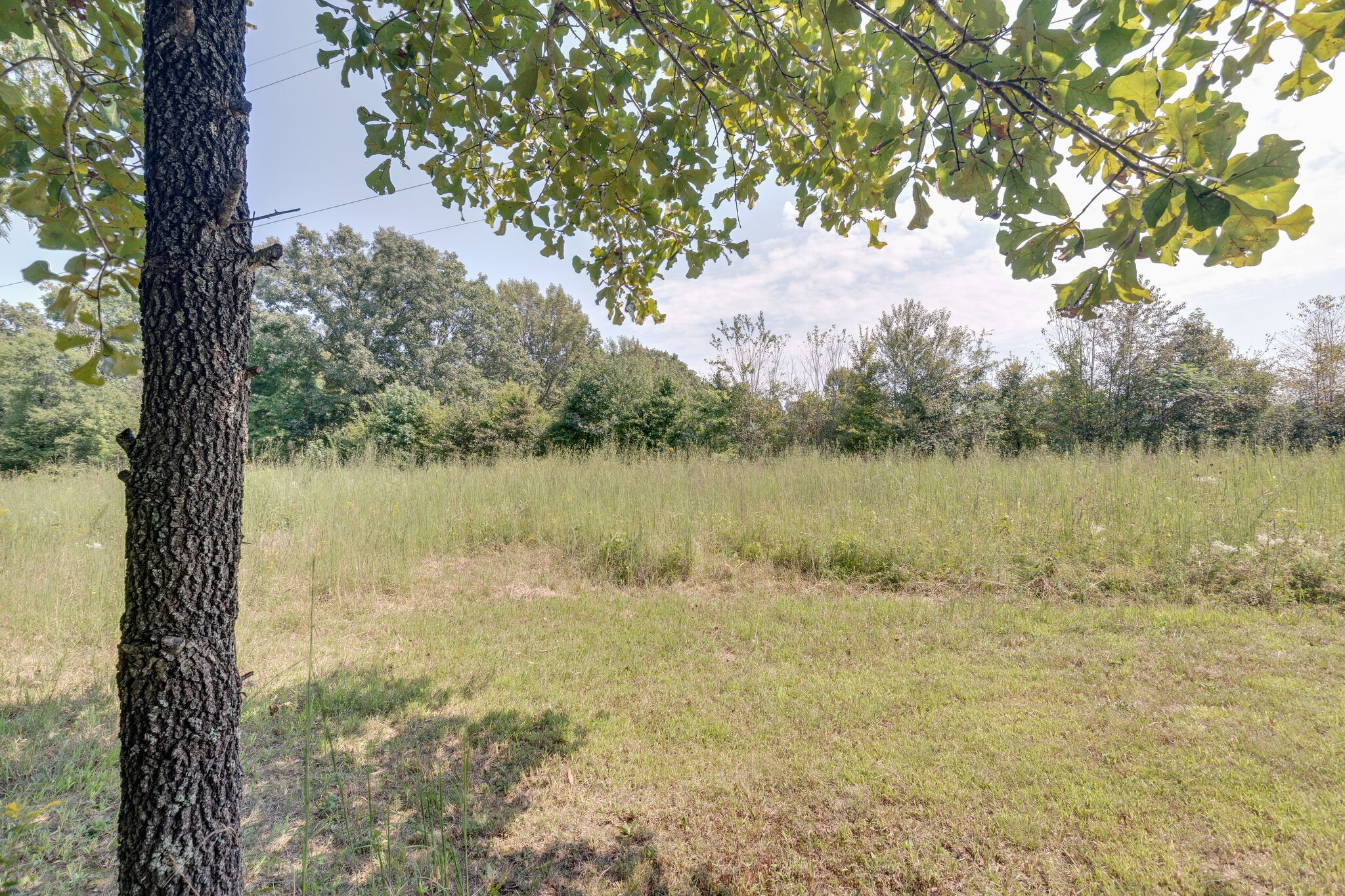 575 Swiss Colony Road Hohenwald, TN 38462 - Photo 34 of 49 Gallery Image 34