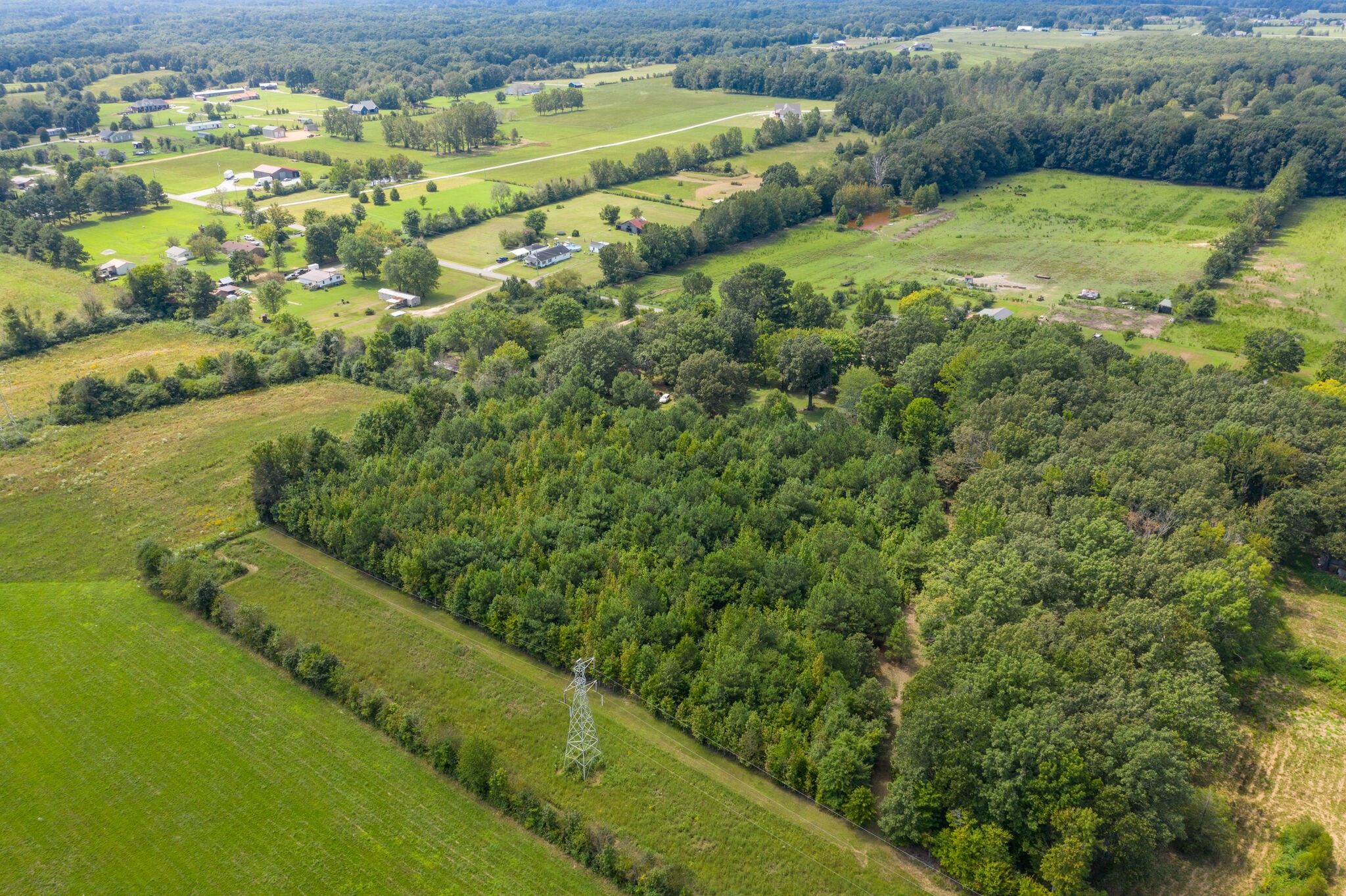 575 Swiss Colony Road Hohenwald, TN 38462 - Photo 41 of 49 Gallery Image 41