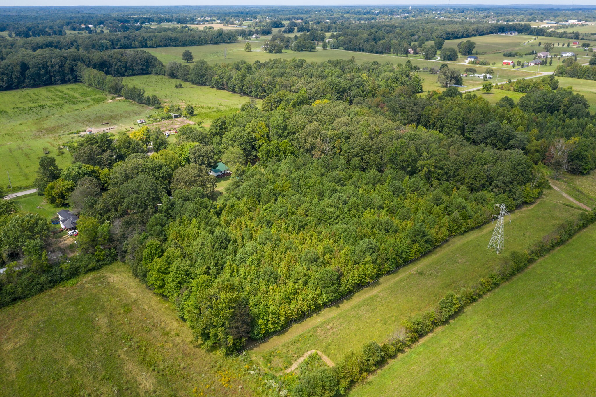 575 Swiss Colony Road Hohenwald, TN 38462 - Photo 42 of 49 Gallery Image 42
