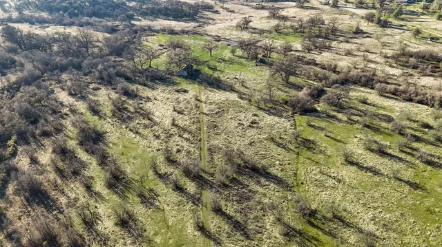 a view of a garden with a lot of plants